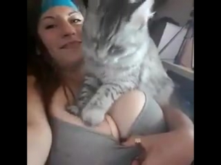 cats love big boobies too